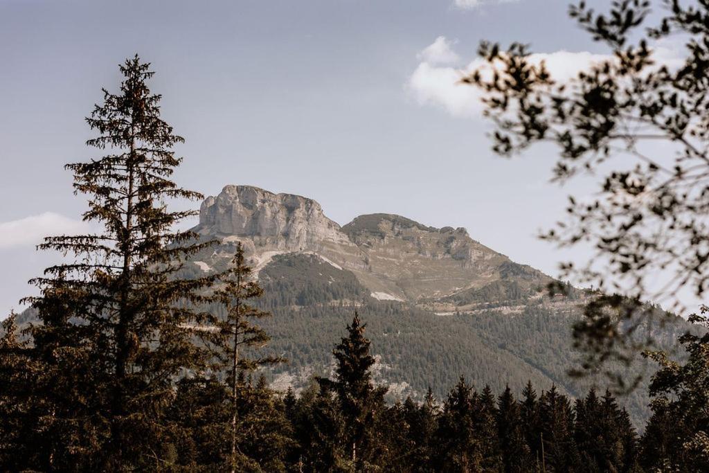 Das Schutzhaus-Bed And Breakfast-Dein Basislager Im Salzkammergut Bad Aussee Buitenkant foto