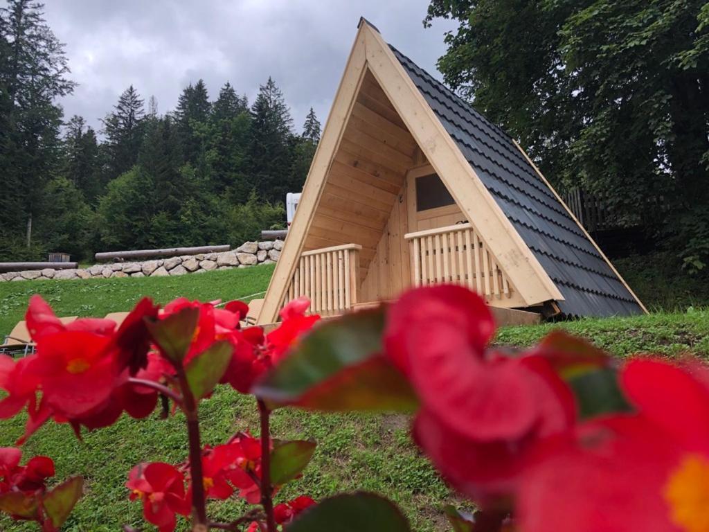 Das Schutzhaus-Bed And Breakfast-Dein Basislager Im Salzkammergut Bad Aussee Buitenkant foto
